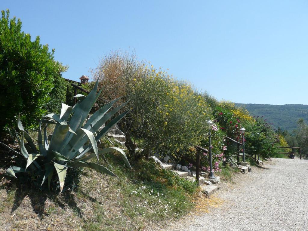 Agriturismo Annibale Tuoro sul Trasimeno Exterior photo